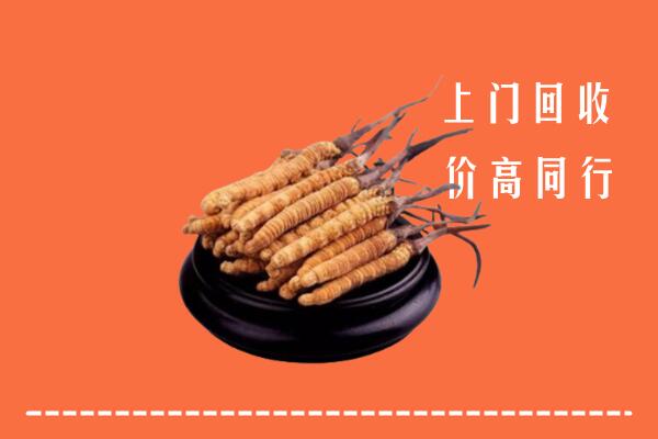 南岔县冬虫夏草回收多少钱每克