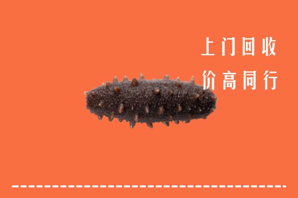 收购行情：南岔县回收海参